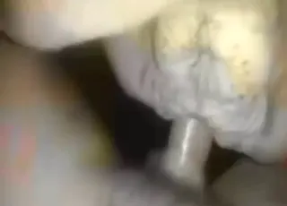 ایک شوقین آدمی گائے کو چودتا ہے