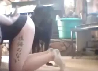 állat szex MILF kutyapicit veszi a hátsó pózban