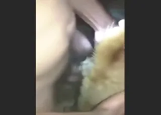 Asiatisk man knullar en hund i en hård zooporncena