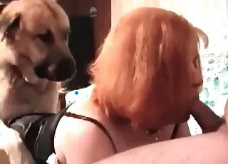 Ciasny cipka gwałcona przez gorącego labradora