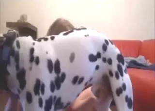 Brunett suckar hundens storhet i en djursexvideo