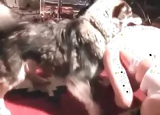 zoophile is enjoying intense bestiality porn