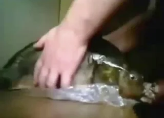Oglądaj gorący seks z rybami w jakości HD