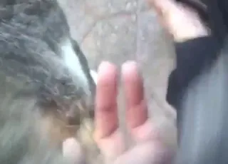 Kobieta wsuwa palce w wilgotny koci ryjek
