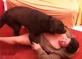 黑狗疯狂操逼兽交视频
