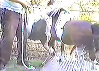 pony is fucking a tight hole in this zoo clip porn movie