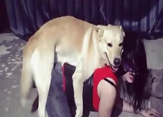 Intense doggy style bestiality with a hot zoophile