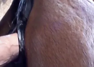 马交情色视频