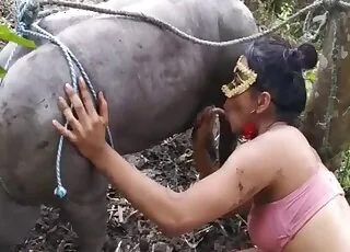 zoo porno - oglądaj najnowsze filmy ze zwierzęcym seksem na stronie
