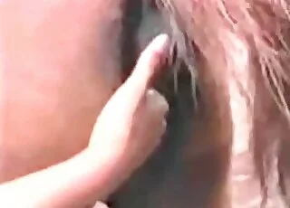 slut is playing with a big animal cock in a hot porn video