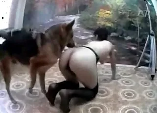 trent hund licker og spiser ut hennes saftige fitte