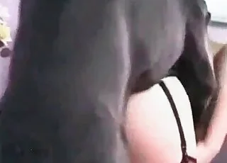 بلیک ڈاگ کی زبردست اینیمل سیکس