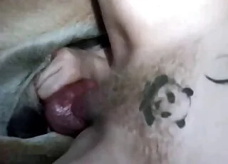 Koiran peniisi rullaa panda-tatuointia kantavaa naisen peräaukkoa