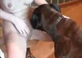 Zoophile gets naked and starts masturbating in front of a dog