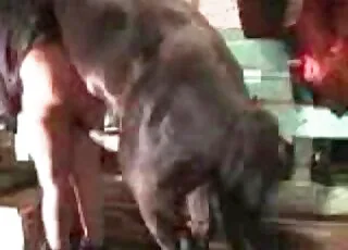 丰满金发妞在兽交视频中给狗吹逼