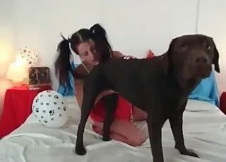 网袜女被狗干爆的兽交视频